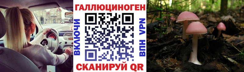 Галлюциногенные грибы ЛСД Нерюнгри