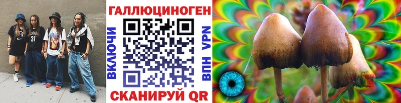 даркнет сайт  Нерюнгри  Галлюциногенные грибы MAGIC MUSHROOMS 