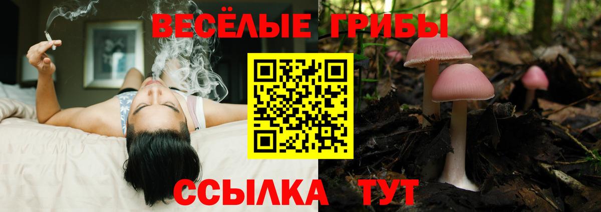 Нерюнгри  Галлюциногенные грибы ЛСД  Вход с VPN 